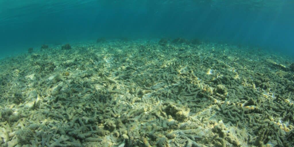 air pollution from ships can cause ocean acidification