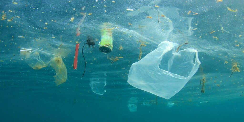 holiday shipping crunch lead to mrine pollution